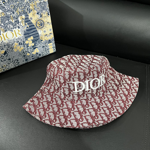 ディオール スタイリッシュな新しい帽子