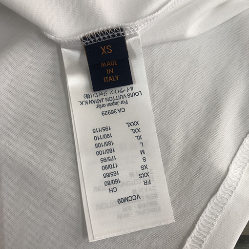 ルイヴィトン   新要素プリント半袖Tシャツ