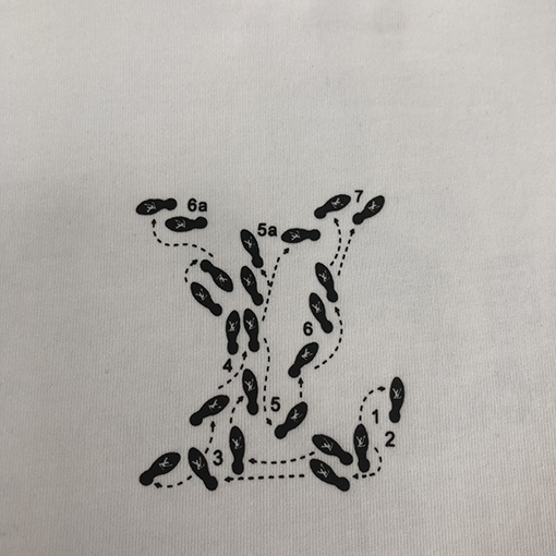 ルイヴィトン   新要素プリント半袖Tシャツ