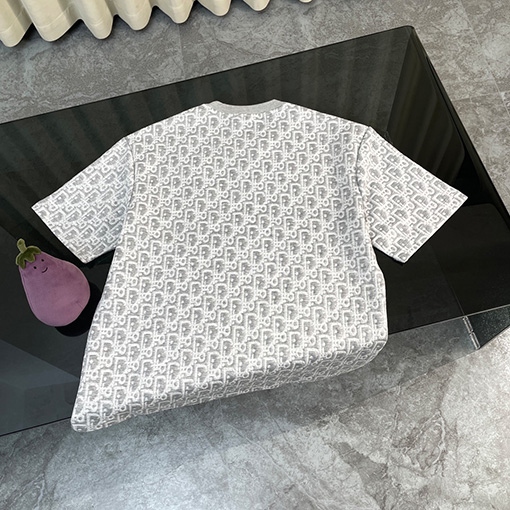 ディオール アルファベット柄ジャカードタオル半袖Tシャツ