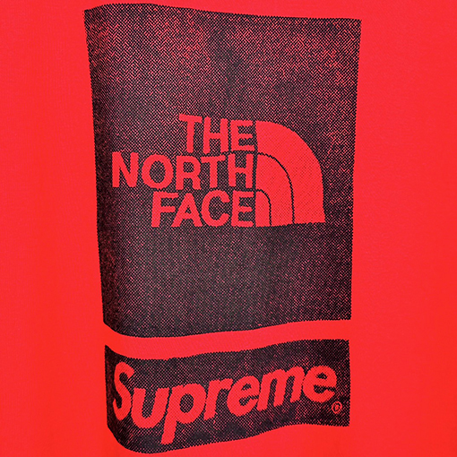 シュプリーム X The north face コラボコピー バックロゴのプリントTシャツ 3色