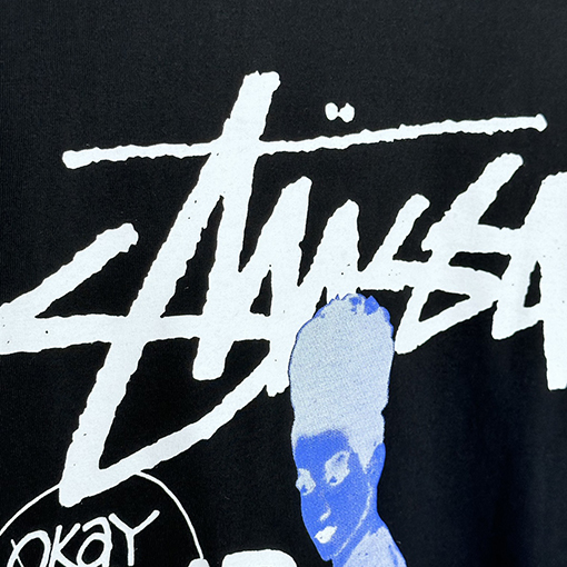 STUSSY X DAVIDコラボSS 24 CARSON DO YOUR THANG TEE女性柄Tシャツ