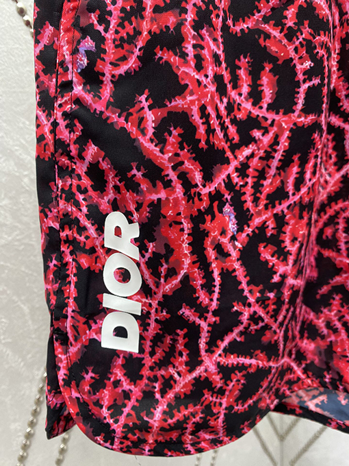 ディオール  新しいビーチパンツ