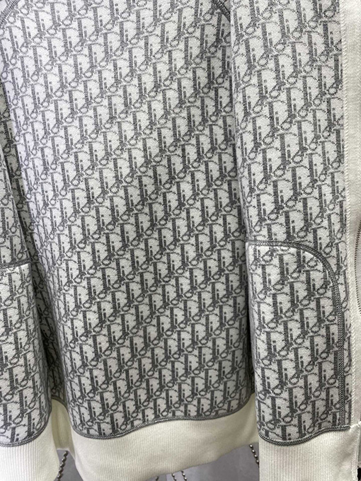 ディオール  新しい刺繍プリントフード付きスウェットジャケット