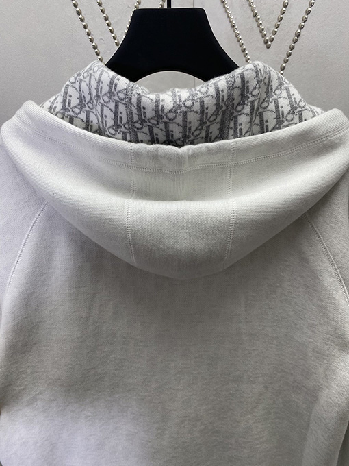 ディオール 新しい刺繍プリントフード付きスウェットジャケット