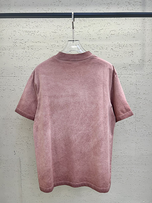 アレキサンダーワンコピー 洗い加工と立体感のあるプリントが特徴 短袖Tシャツ