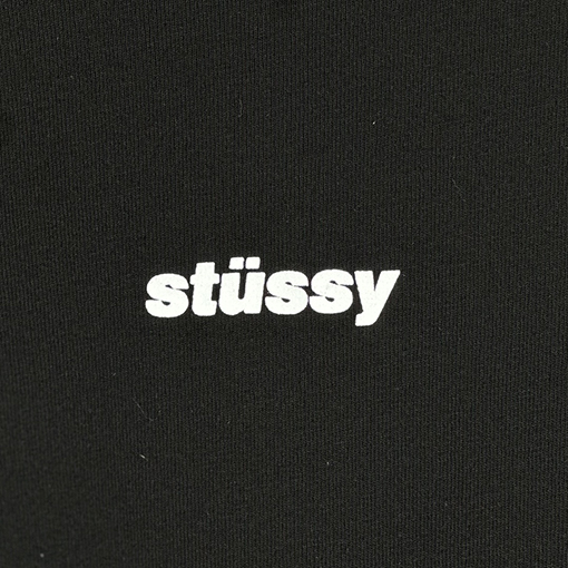STUSSY SS24 WAVE COTTON CREW TEE 明線微标 Tシャツ