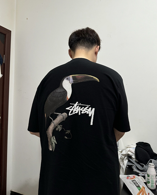ステューシー アニマルシリーズTOUCAN TEEオオハシTシャツ