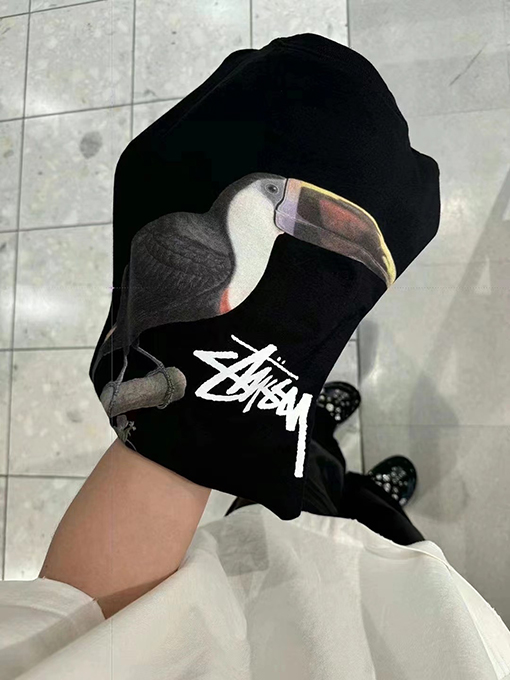 ステューシー アニマルシリーズTOUCAN TEEオオハシTシャツ