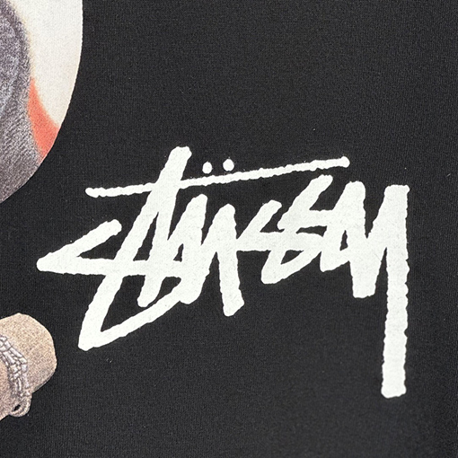 ステューシー アニマルシリーズTOUCAN TEEオオハシTシャツ