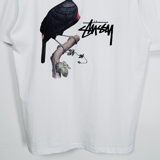 ステューシー アニマルシリーズTOUCAN TEEオオハシTシャツ