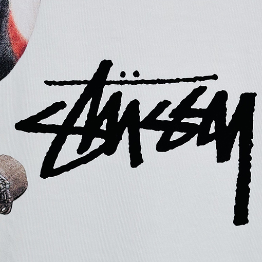 ステューシー アニマルシリーズTOUCAN TEEオオハシTシャツ