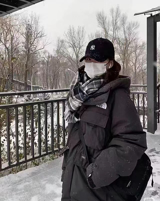 ノースフェイス レディースワークウェアフード付きグースダウン防水ダウンジャケット