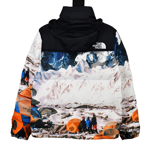 ノースフェイス ダウンジャケットTHE NORTH FACE×INVINCIBLE PRINTDE NUPTSE JACKET