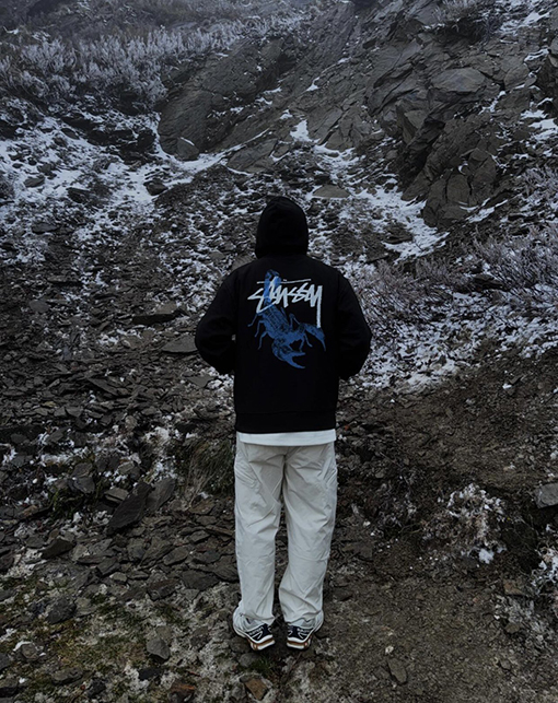 ステューシーコピー SCORPION ZIP HOODIEスコーピオンプリントジッパーフリースパーカー