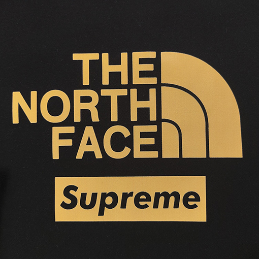 The North FaceXSupremeロゴプリントカジュアルカップルハイクルーネックフリースパーカー