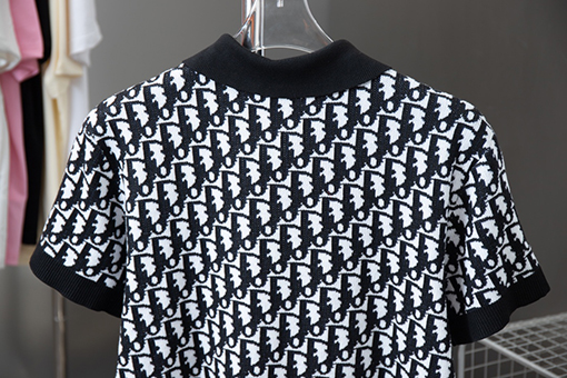 ディオールロゴの立体文字Tシャツ
