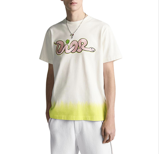 ディオールスーパーコピーDIOR AND KAWS 限定シリーズ半袖シャツ