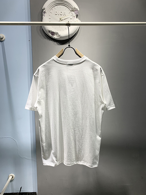 ディオール新しいKawsヘビ刺繍Tシャツ