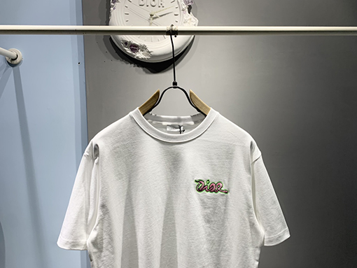 ディオール新しいKawsヘビ刺繍Tシャツ