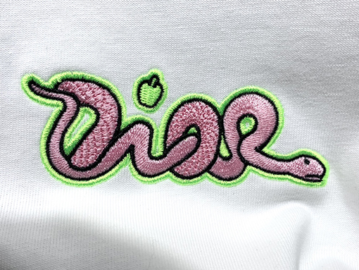ディオール新しいKawsヘビ刺繍Tシャツ