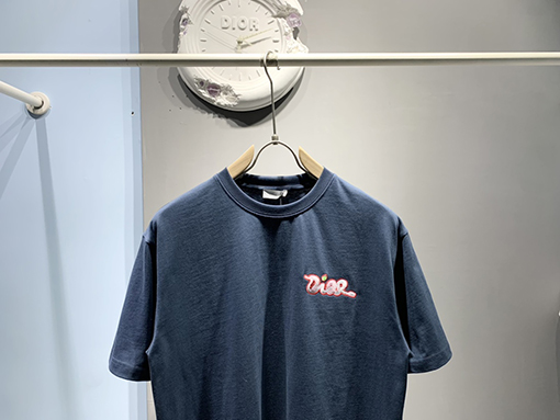 ディオール新しいKawsヘビ刺繍Tシャツ