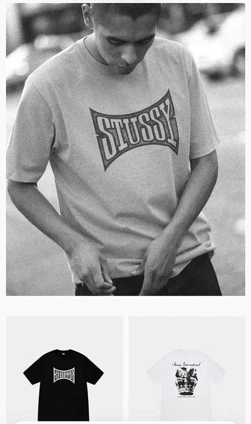 ステューシーSTUSSY FW25 CHAMPION TEE チャンピオンバナーTシャツ
