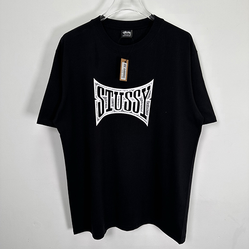 ステューシーSTUSSY FW25 CHAMPION TEE チャンピオンバナーTシャツ