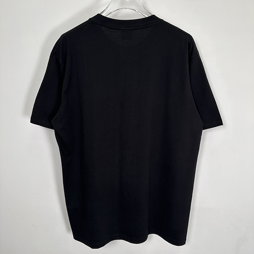 ステューシーSTUSSY FW25 CHAMPION TEE チャンピオンバナーTシャツ