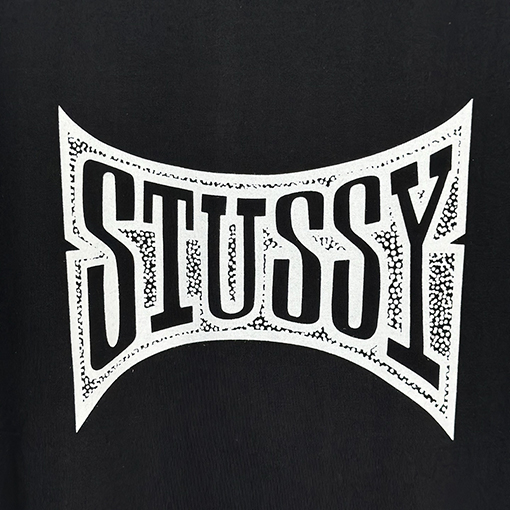 ステューシーSTUSSY FW25 CHAMPION TEE チャンピオンバナーTシャツ