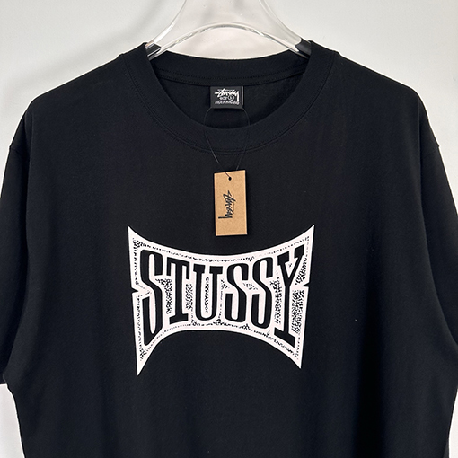 ステューシーSTUSSY FW25 CHAMPION TEE チャンピオンバナーTシャツ