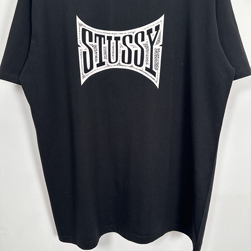 ステューシーSTUSSY FW25 CHAMPION TEE チャンピオンバナーTシャツ
