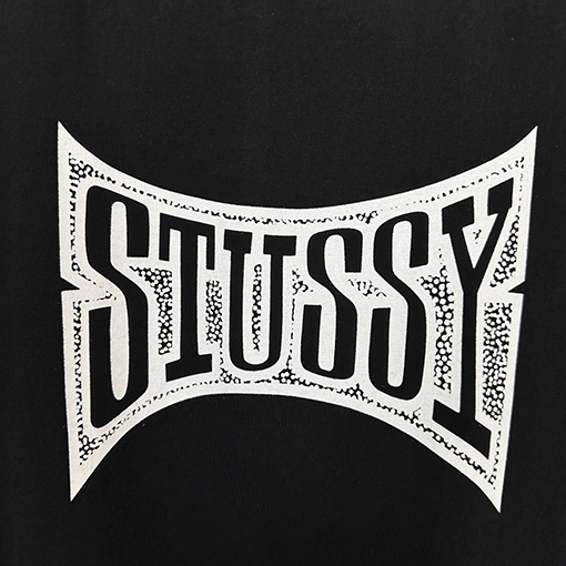 ステューシーSTUSSY FW25 CHAMPION TEE チャンピオンバナーTシャツ