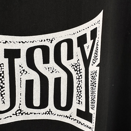 ステューシーSTUSSY FW25 CHAMPION TEE チャンピオンバナーTシャツ