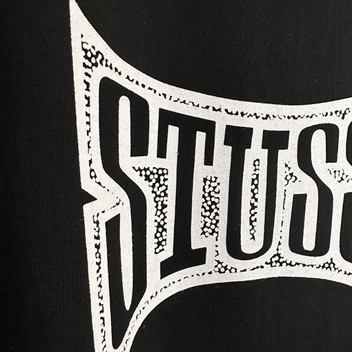 ステューシーSTUSSY FW25 CHAMPION TEE チャンピオンバナーTシャツ