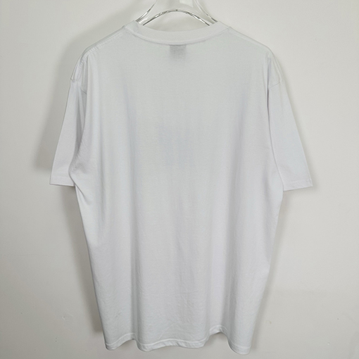 ステューシーSTUSSY FW25 CHAMPION TEE チャンピオンバナーTシャツ