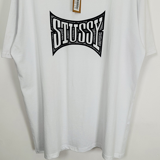 ステューシーSTUSSY FW25 CHAMPION TEE チャンピオンバナーTシャツ