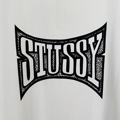 ステューシーSTUSSY FW25 CHAMPION TEE チャンピオンバナーTシャツ