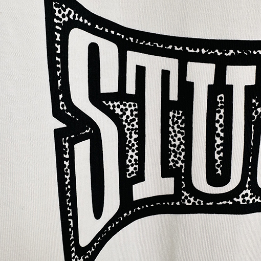 ステューシーSTUSSY FW25 CHAMPION TEE チャンピオンバナーTシャツ
