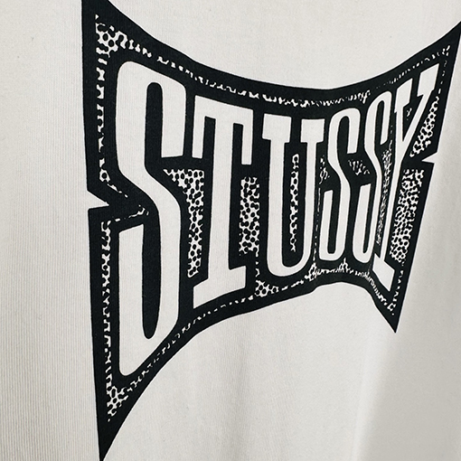 ステューシーSTUSSY FW25 CHAMPION TEE チャンピオンバナーTシャツ