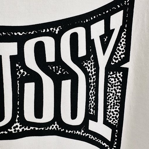 ステューシーSTUSSY FW25 CHAMPION TEE チャンピオンバナーTシャツ
