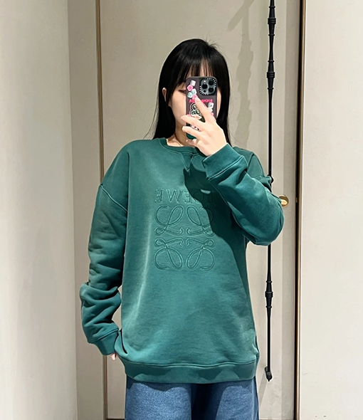 ロエベアップリケ刺繍コットンパーカー