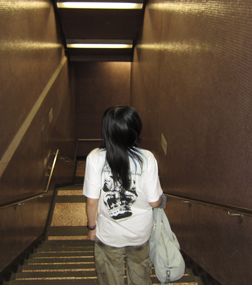 ステューシーコピーSTUSSY SS25 DOG CROWN  Tシャツ