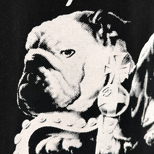 ステューシーコピーSTUSSY SS25 DOG CROWN  Tシャツ