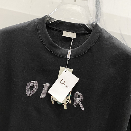 ディオール CDアルファベット漫画小さな恐竜刺繍公式半袖Tシャツ