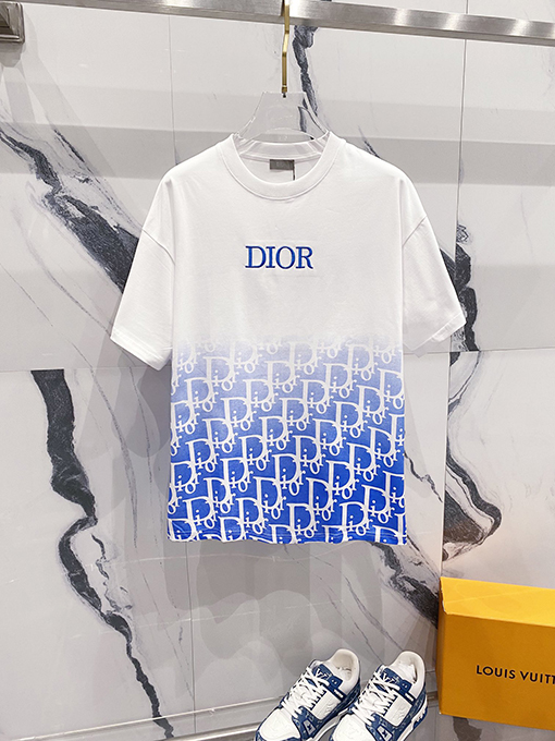 ディオール刺繍CDアルファベットロゴヴィンテージグラデーションプリント半袖Tシャツ