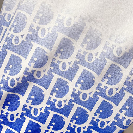 ディオール刺繍CDアルファベットロゴヴィンテージグラデーションプリント半袖Tシャツ