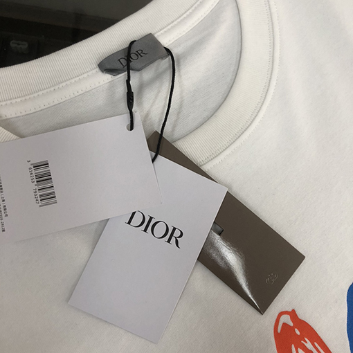 ディオール新しいカラフルなプリント文字半袖Tシャツ