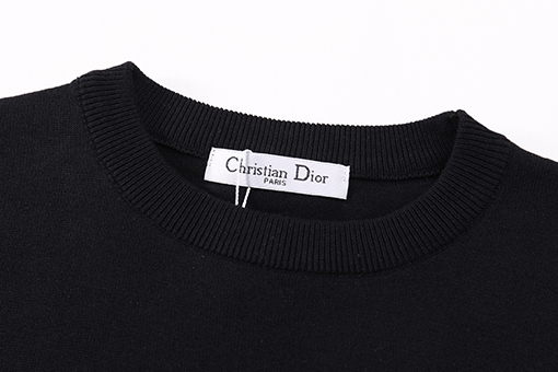 ディオール25ss刺繍文字ロゴ半袖Tシャツ