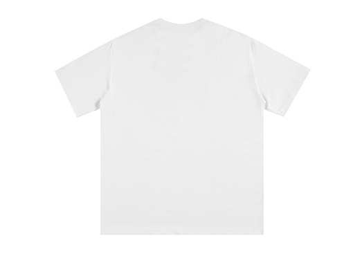 ディオールビッグロゴ スプレープリント 半袖Tシャツ